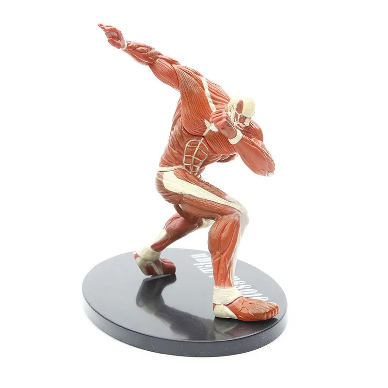 Attack On Titan Colossal Titan 7inch figure